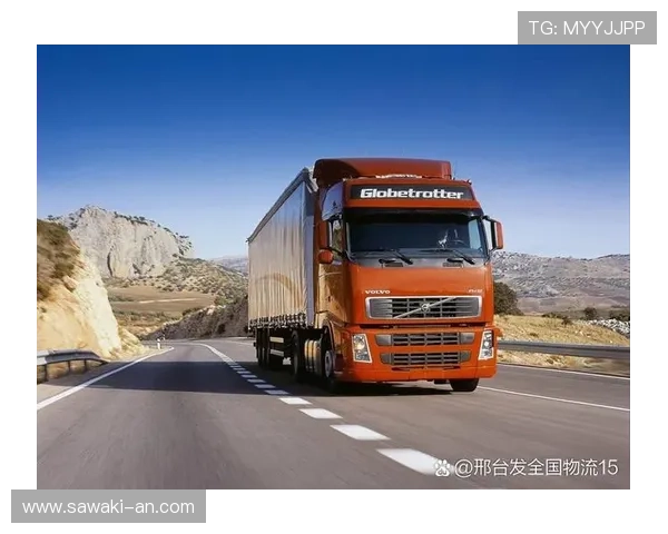 速发国际365高效配送体系，确保货物准时到达每一个角落